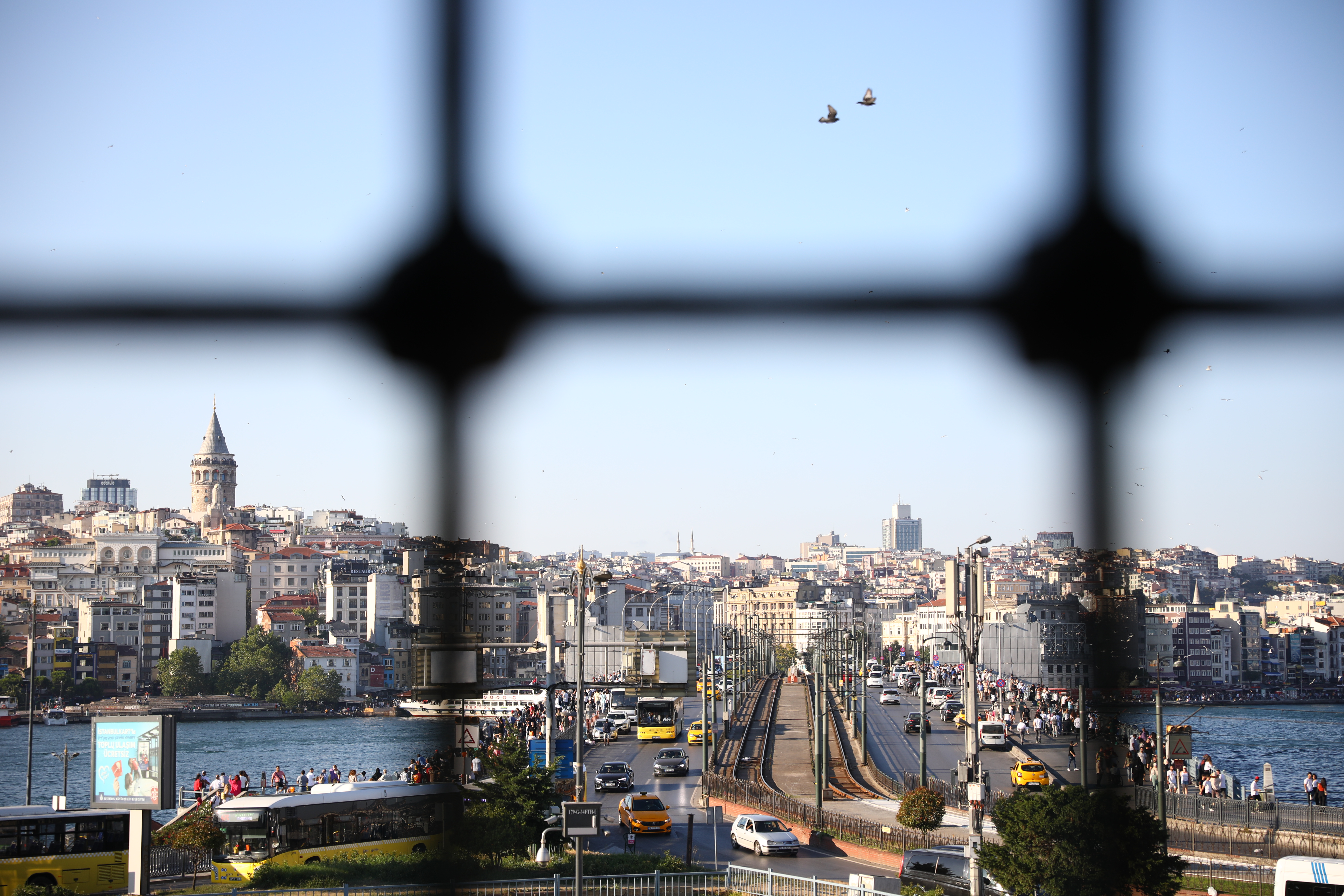 Galata Kulesi ve Kuşlar