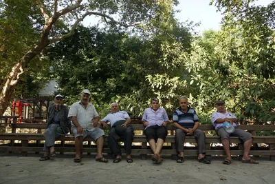 Musa Ağacının Altında