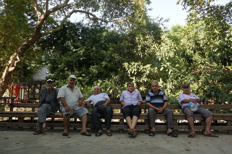 Musa Ağacının Altında