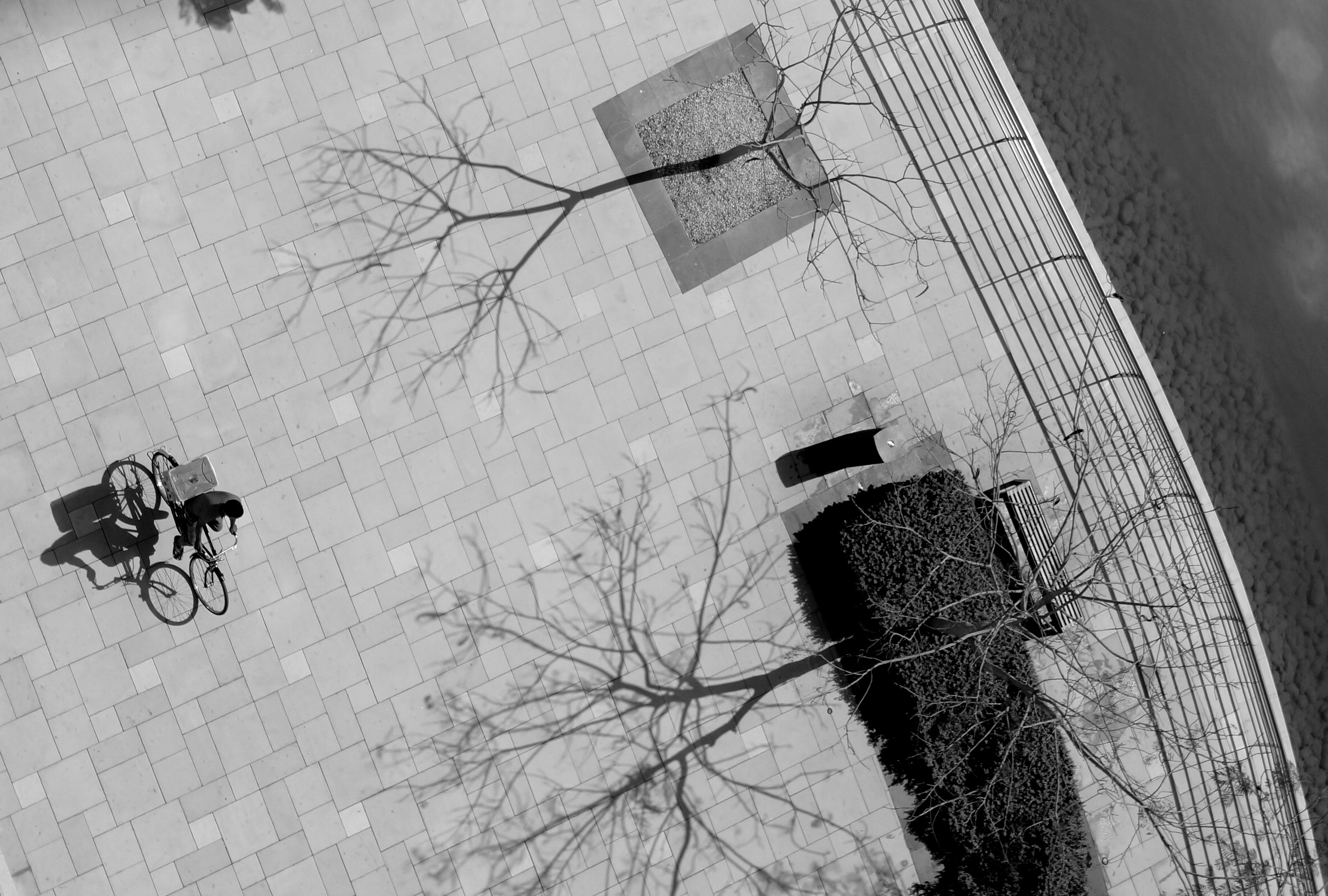 Kuş Bakışı Bisikletçi